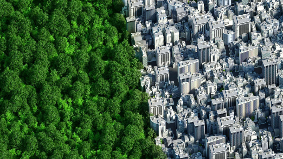 yeşil bina nedir