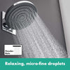 Hansgrohe Pulsify S Tepe Duşu 260 1jet EcoSmart