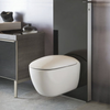 Geberit Citterio Rimfree Asma Klozet Seti