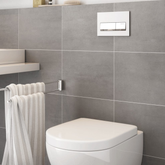 Geberit Alpha50 Beyaz Kumanda Paneli