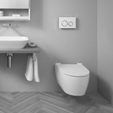Geberit Sigma21 Kumanda Paneli