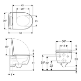 Geberit iCon Rimfree Asma Klozet ve Kapak Seti