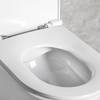 Isvea Infinity Clearim Plus Asma Klozet