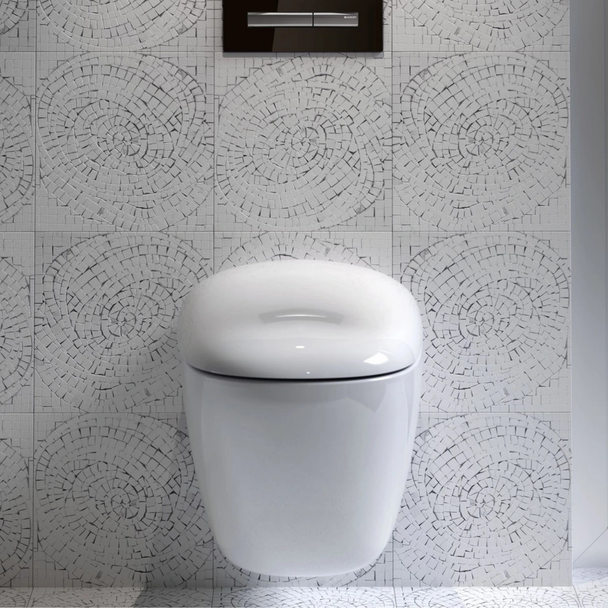 Geberit Citterio Rimfree Asma Klozet Seti