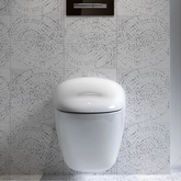 Geberit Citterio Rimfree Asma Klozet Seti