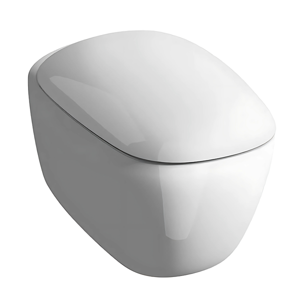 Geberit Citterio Rimfree Asma Klozet Seti