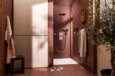 Hansgrohe Raindance Alive Select 125 3jet Porter